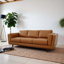 Tan leather sofa in a room with a plant and rug.