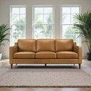 Tan leather sofa in a room with large windows and plants.