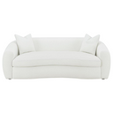 Front view of a white sofa with two cushions on a white background.