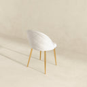 MARION MID CENTURY MODERN DINING CHAIR (SET OF 2)