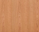 BAPTISIA 79" MEDIA STAND