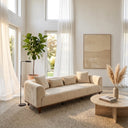 Modern Rosa 103 cream velvet sofa with throw pillows in a bright, minimalist living room. The sofa features clean lines, rounded armrests, and a dark wood frame, set on a textured rug near a round stone coffee table and a tall fiddle-leaf fig plant under soft sunlight.
